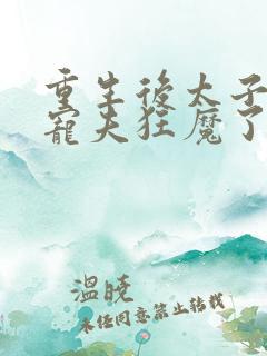 重生后太子妃成宠夫狂魔了
