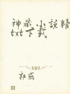 神藏小说精校版txt下载