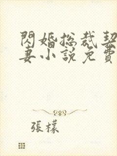 闪婚总裁契约甜妻小说免费阅读全文