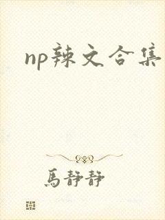 np辣文合集h
