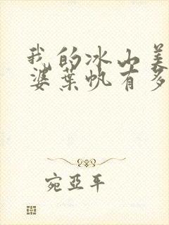 我的冰山美女老婆叶帆有多少后宫