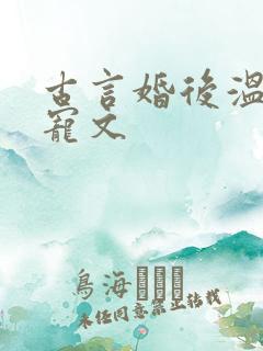 古言婚后温馨甜宠文