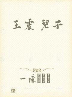王震 儿子