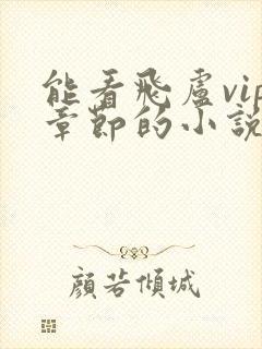 能看飞卢vip章节的小说软件