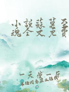 小说苏莫至尊武魂全文免费阅读