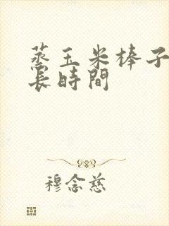 蒸玉米棒子要多长时间