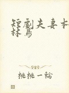 短剧夫妻本是同林鸟