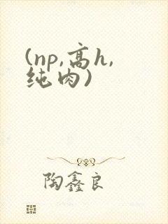 (np,高h,纯肉)