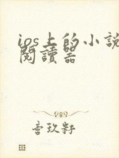 ios上的小说阅读器