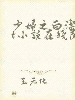 少妇之白洁txt小说在线阅读