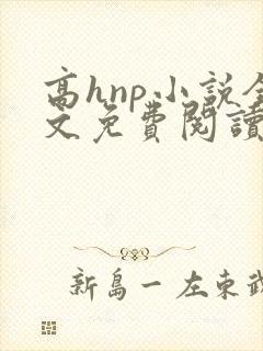 高hnp小说全文免费阅读