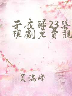 子夜归23集电视剧免费观看全集高清