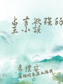占有欲强的双男主小说
