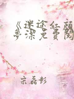 《迷途红颜》陈梦洁免费阅读