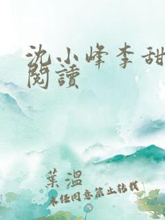 沈小峰李甜免费阅读