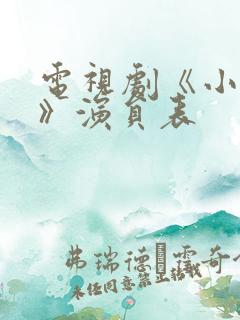 电视剧《小丈夫》演员表