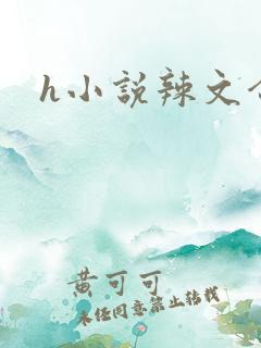 h小说辣文合集