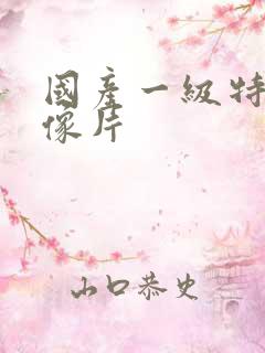 国产一级特黄录像片