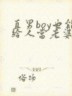 直男boy也能给人当老婆吗小说