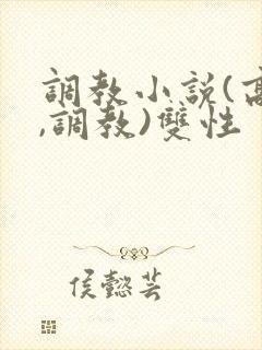 调教小说(高h,调教)双性