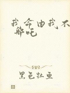 我命由我不由天 哪吒