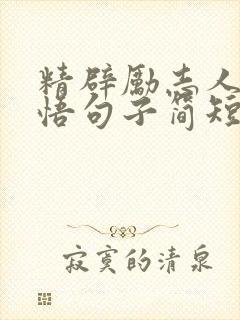 精辟励志人生感悟句子简短
