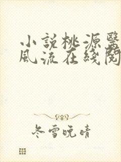 小说桃源医仙不风流在线阅读