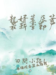 龙婿叶辰萧初然最新章节厂