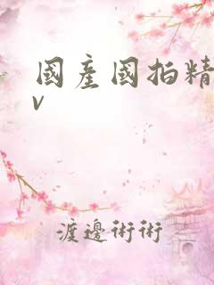 国产国拍精品av