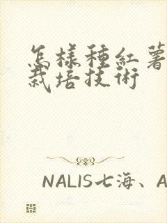 怎样种红薯高产栽培技术
