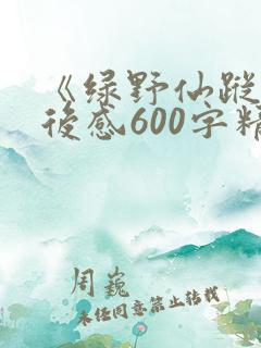 《绿野仙踪》读后感600字精选三篇