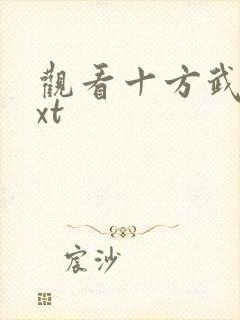 观看十方武圣txt