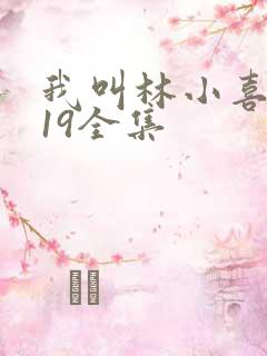 我叫林小喜今年19全集