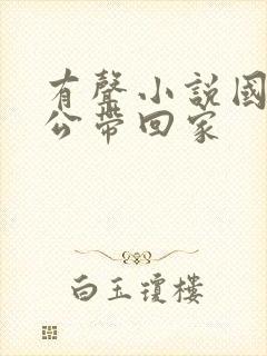 有声小说国民老公带回家
