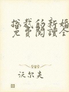 总裁的新婚罪妻免费阅读全文