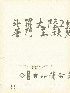 斗罗大陆2绝世唐门 王秋儿