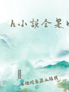 h小说全是肉