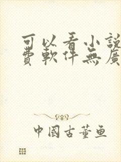 可以看小说的免费软件无广告