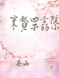穿越四合院十二个儿子的小说