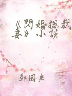《闪婚总裁契约妻》小说
