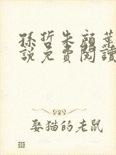 孙哲朱颜叶巧小说免费阅读70章