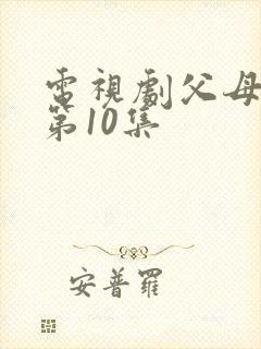电视剧父母爱情第10集