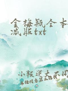 金梅瓶全本无删减版txt