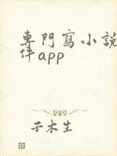 专门写小说的软件app