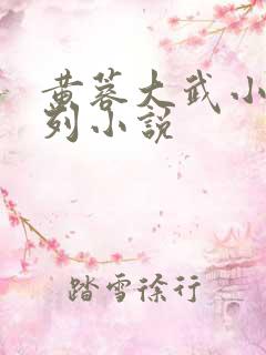 黄蓉大武小武系列小说