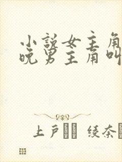 小说女主角叫晚晚男主角叫傅