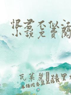 恨君不似江楼月小说免费阅读
