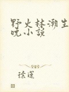 野火林潮生林晚晚小说