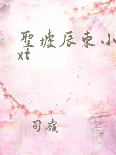 圣墟辰东小说txt