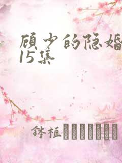 顾少的隐婚罪妻15集